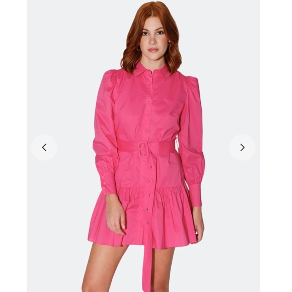 Walter Baker Tara Shirtdress